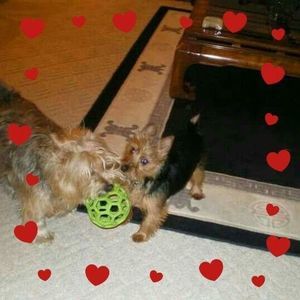 Meet your Posher, Marie